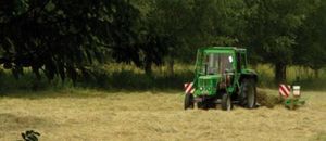 Traktor beim Heuwenden auf abgeernteter Wiesei