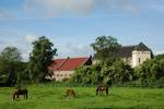 Haus Bürgel mit Pferden auf der Weide